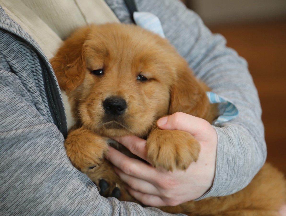  Rocket • Click to meet