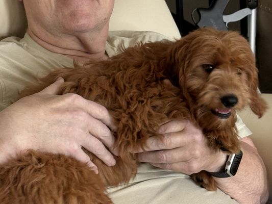 Powell, OH PATCHES • HOMED