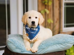  Florence • Click to meet