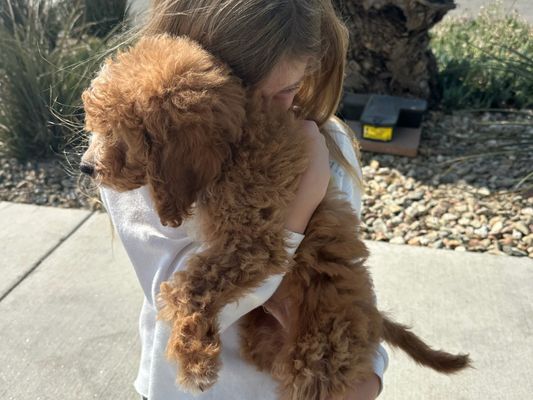 Rancho Santa Fe, CA LOGAN • HOMED