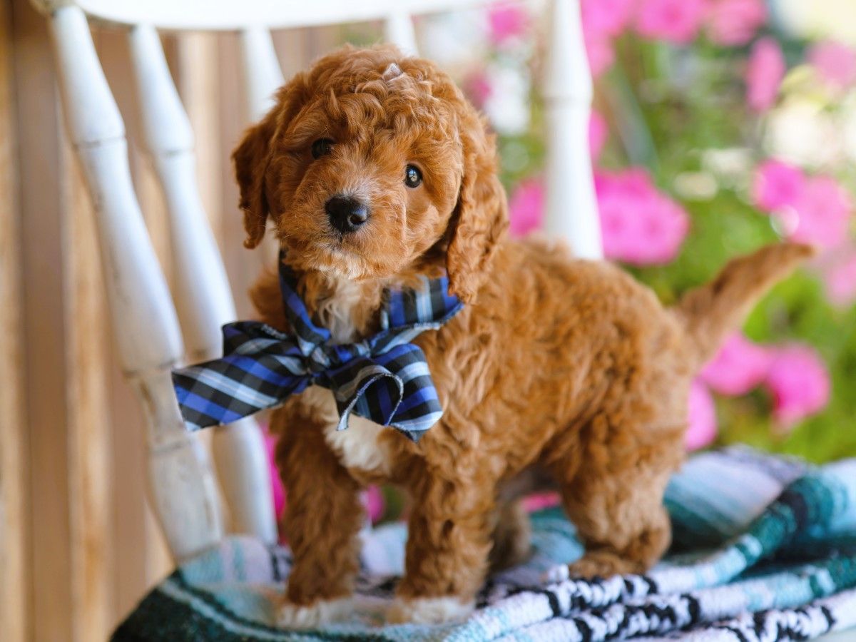 finnegan (1).JPG
