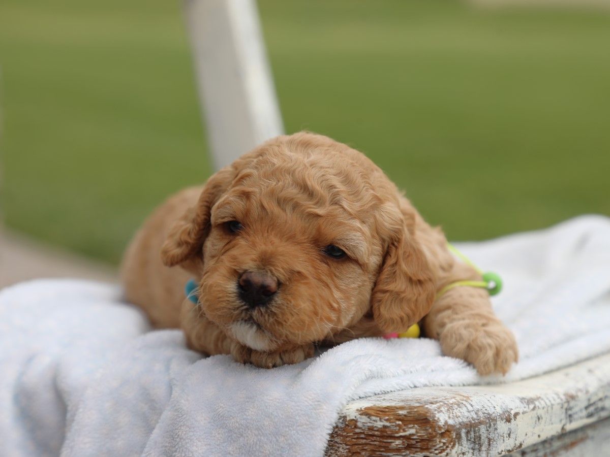 Flossie (3).JPG