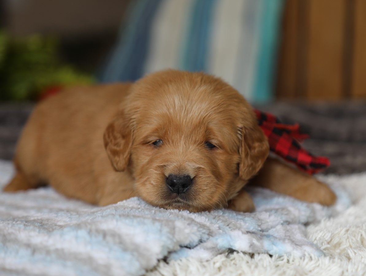  Billy - Click to meet