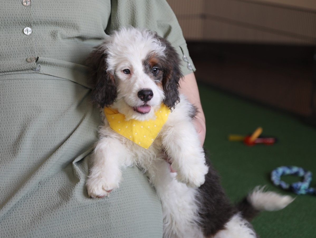  Kyra - Click to meet