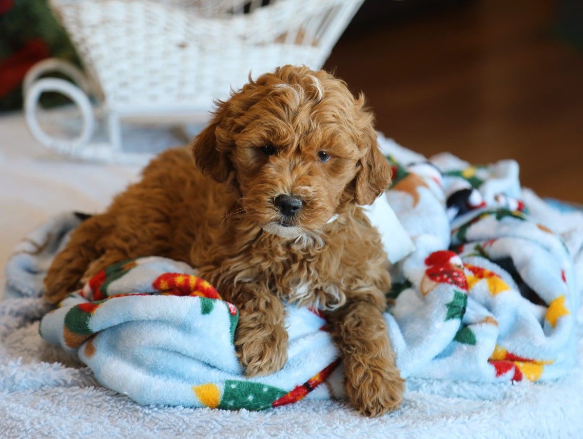 happy (4).JPG