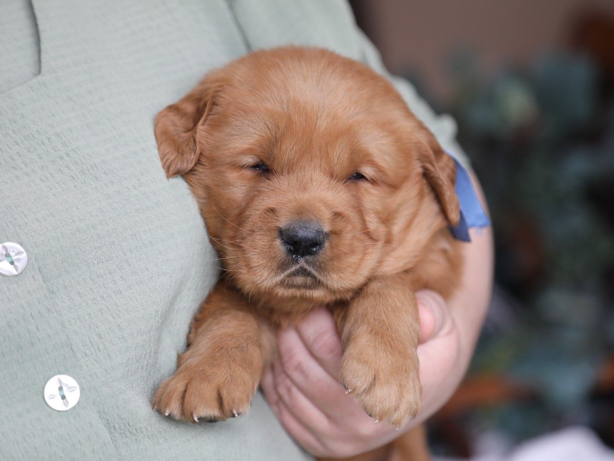 toby (4).JPG