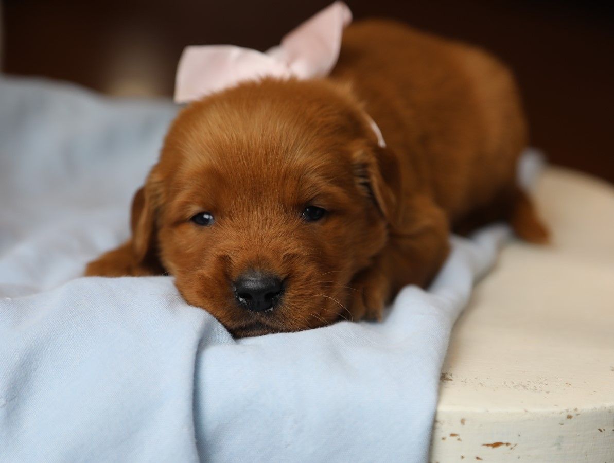 Bree (3).JPG