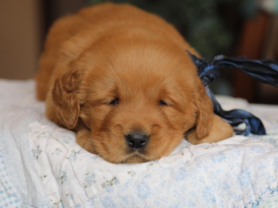 Reid • click to meet