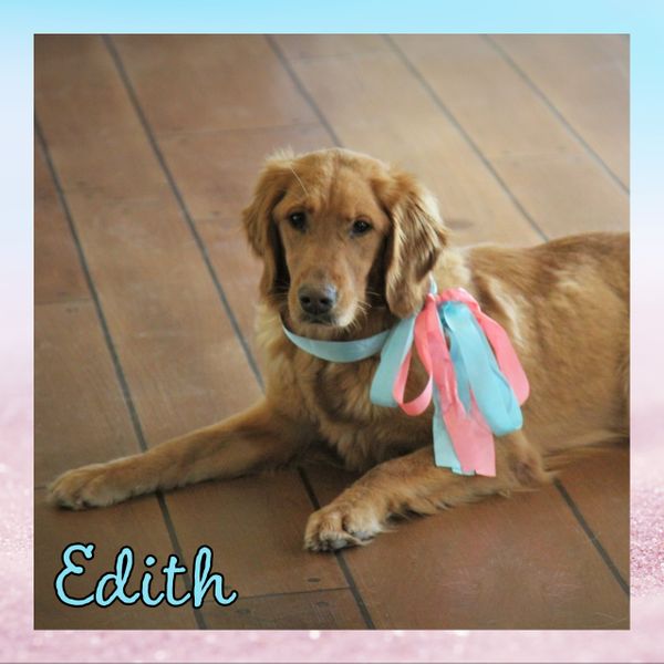 Edith.jpg