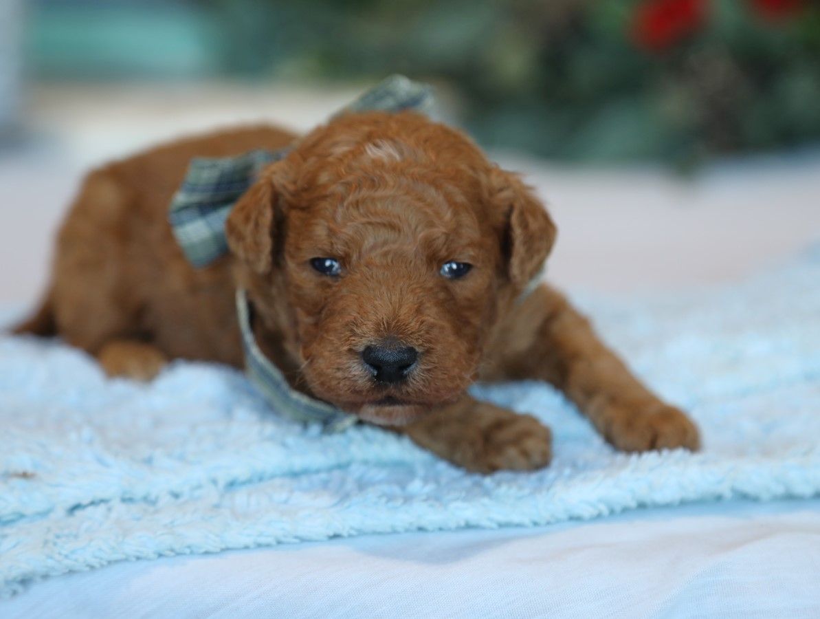 Parker - click to meet