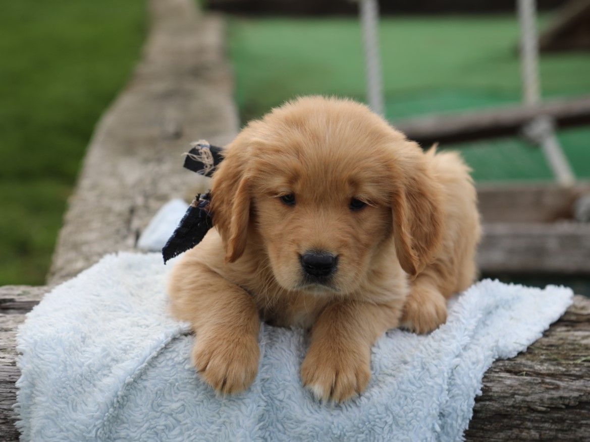 zane (3).JPG