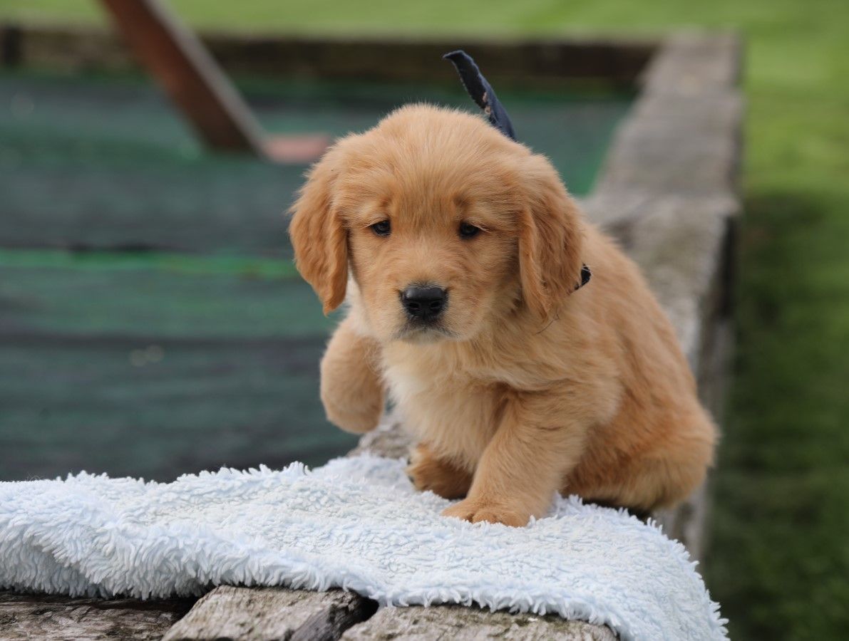 zane (2).JPG
