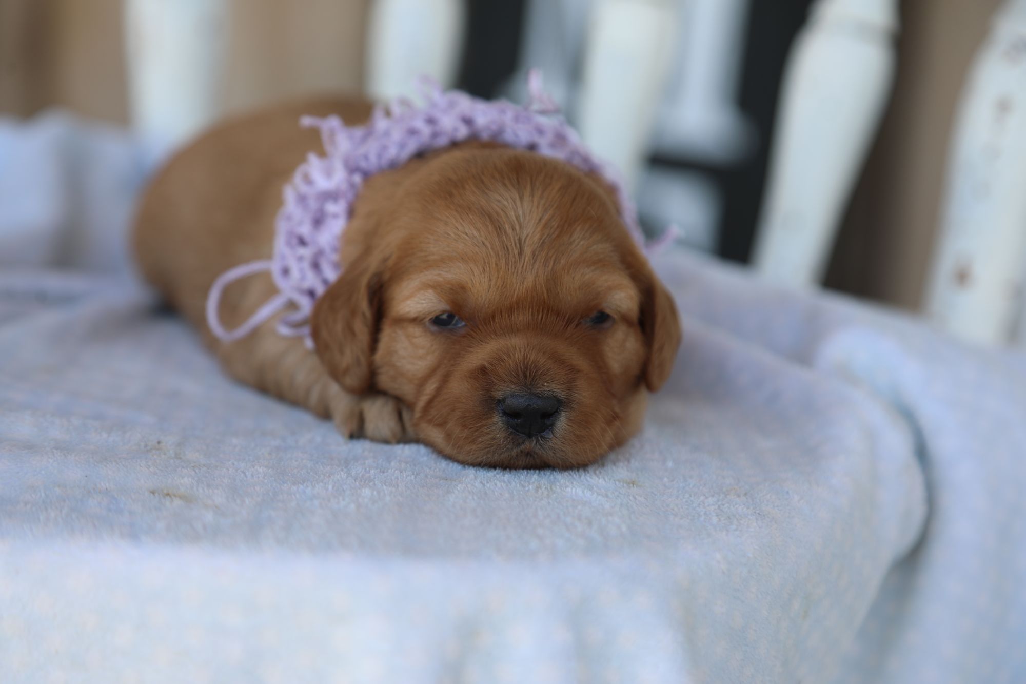 Addy (1).JPG