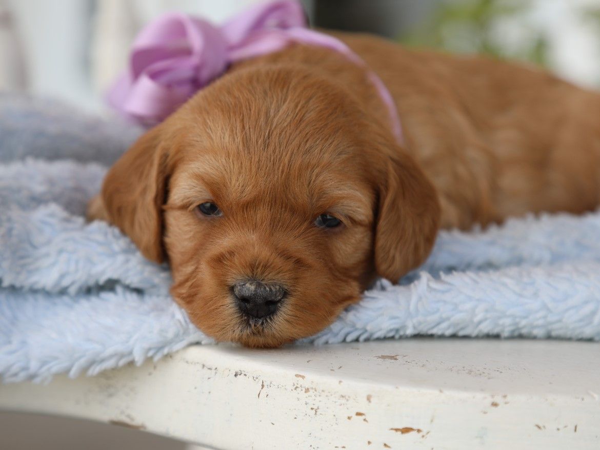 addy (3).JPG