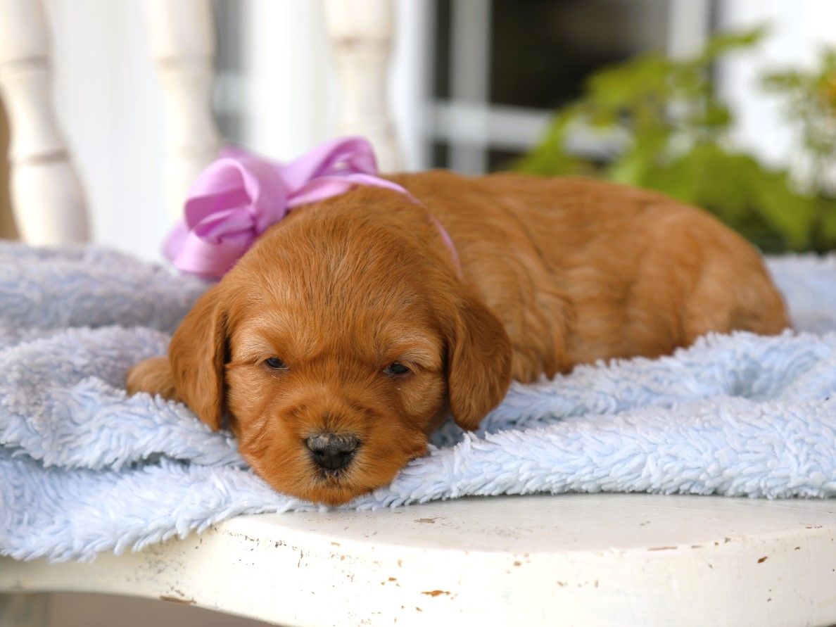addy (2).JPG