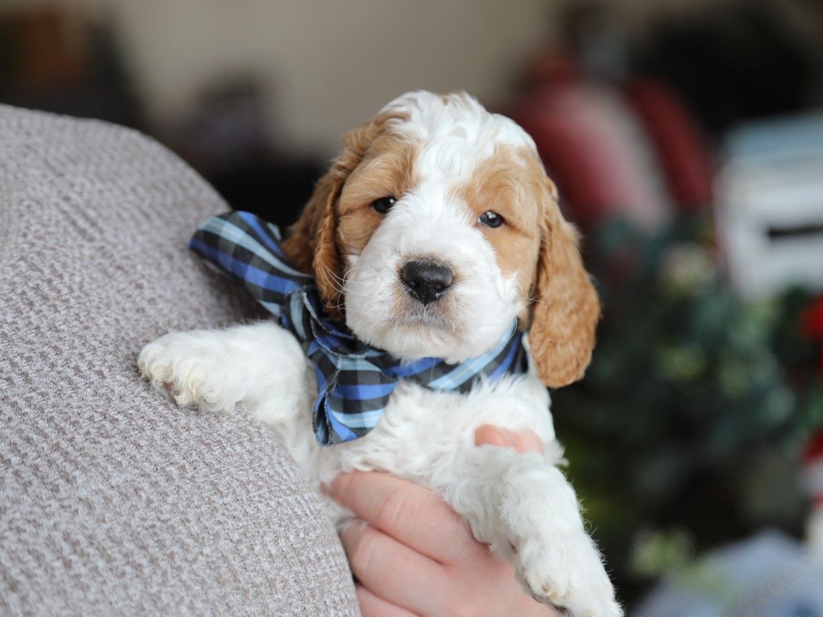 Roma • click to meet