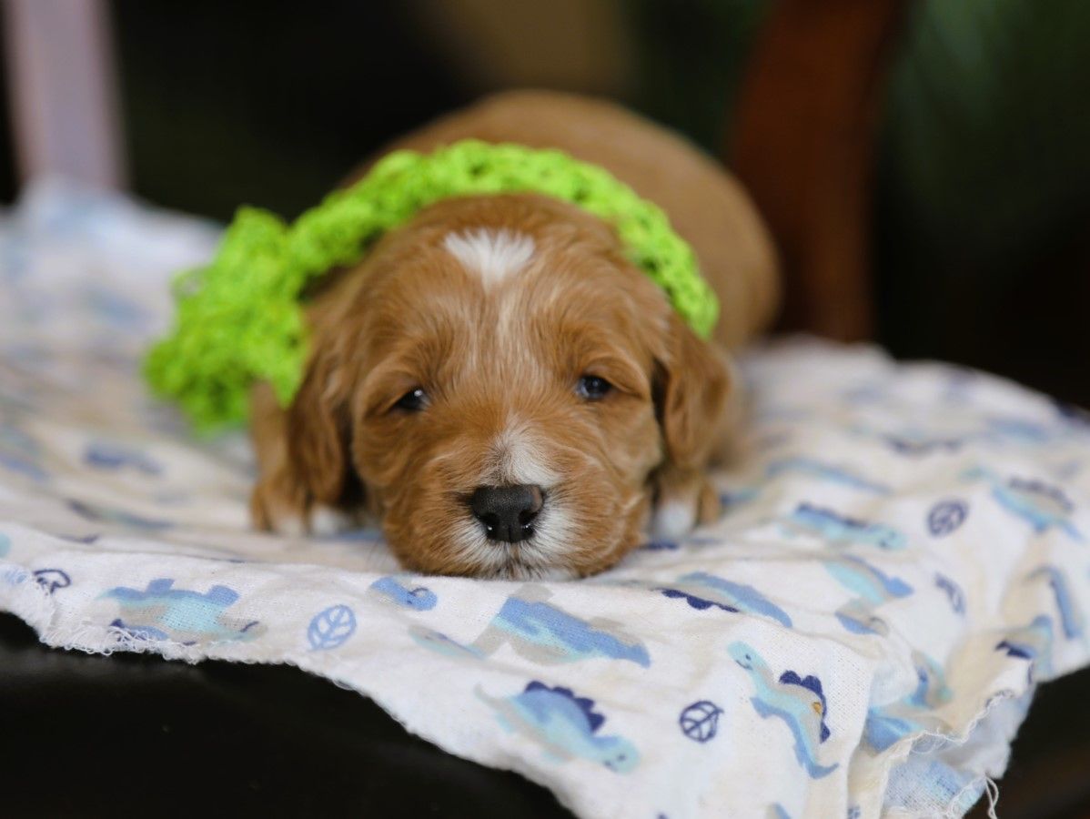 carter (3).JPG