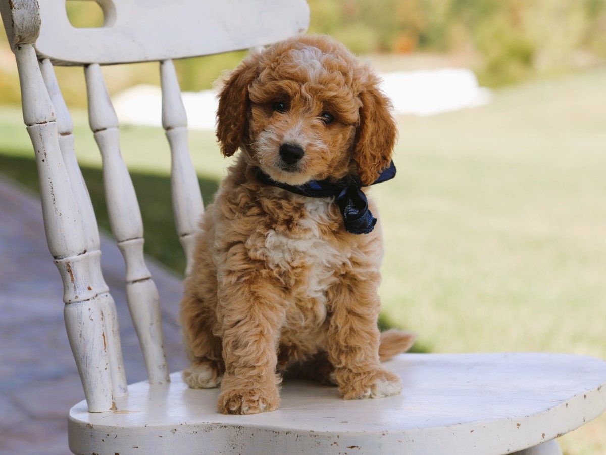 malcolm (1).JPG