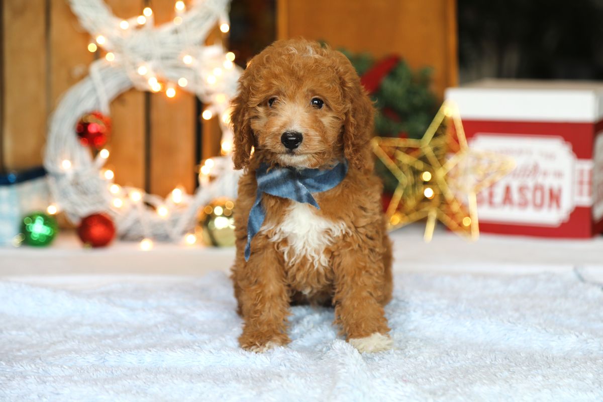 Finnegan (4).JPG
