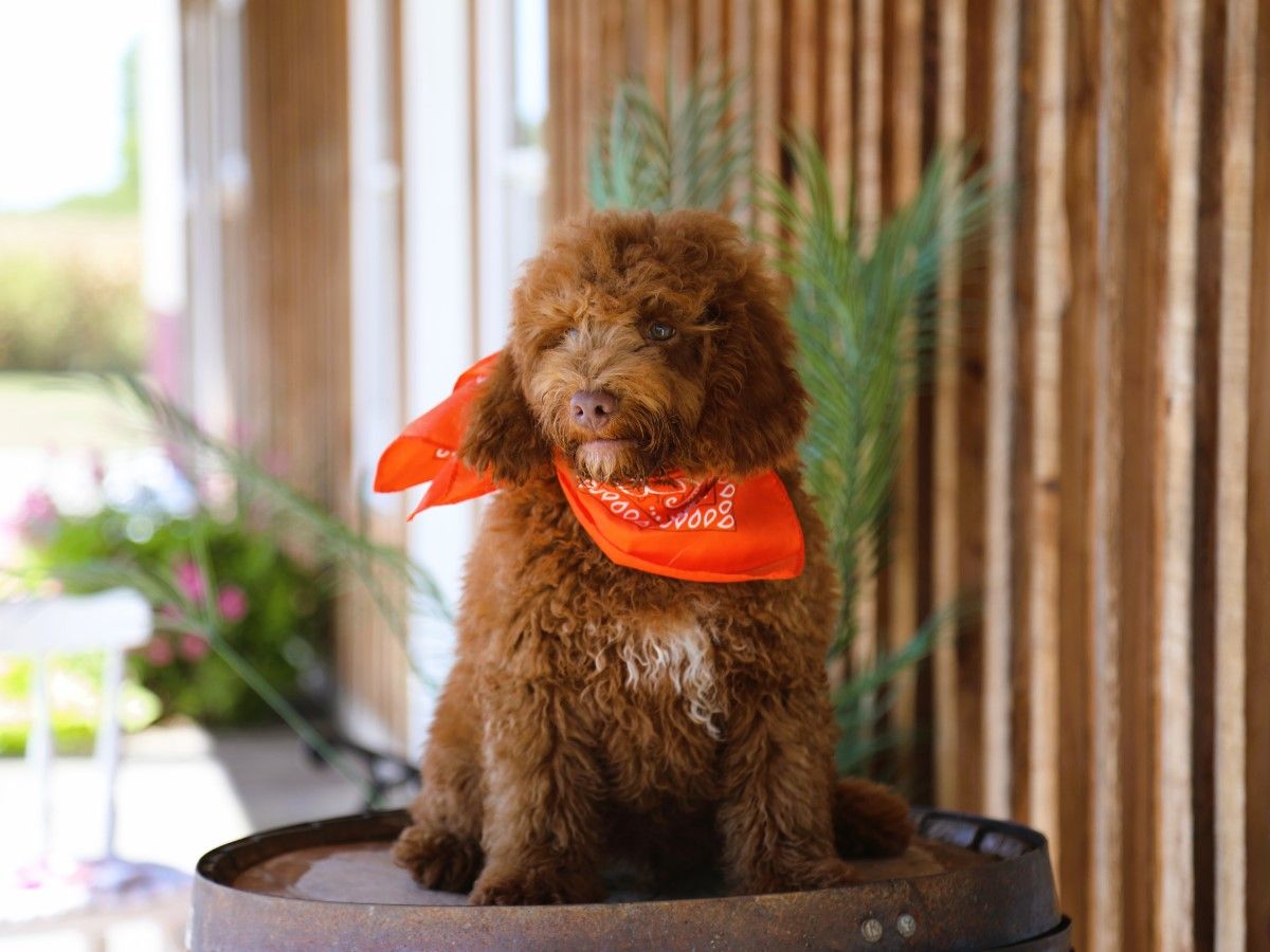  Danny • click to meet