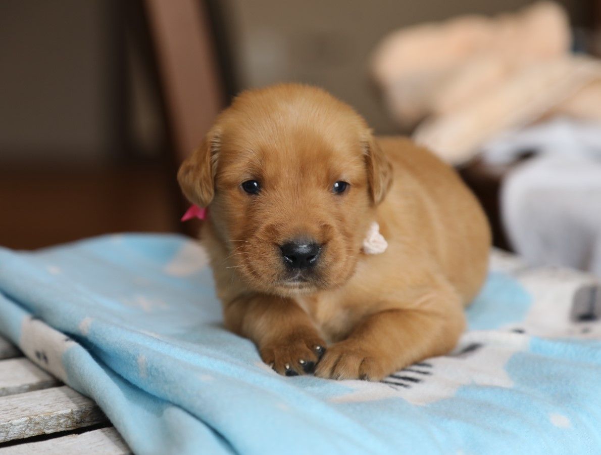Laney (2).JPG