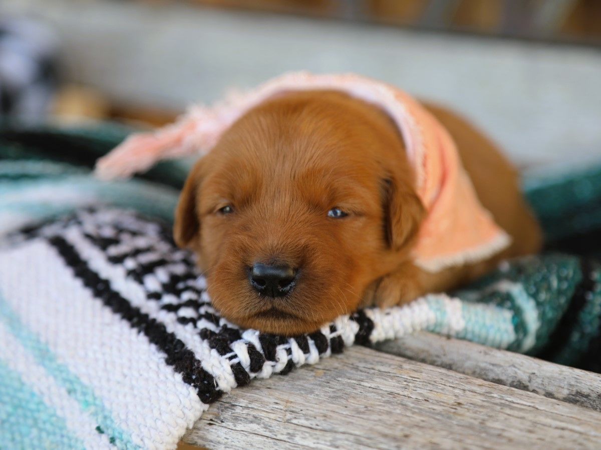 Sally • Click to meet