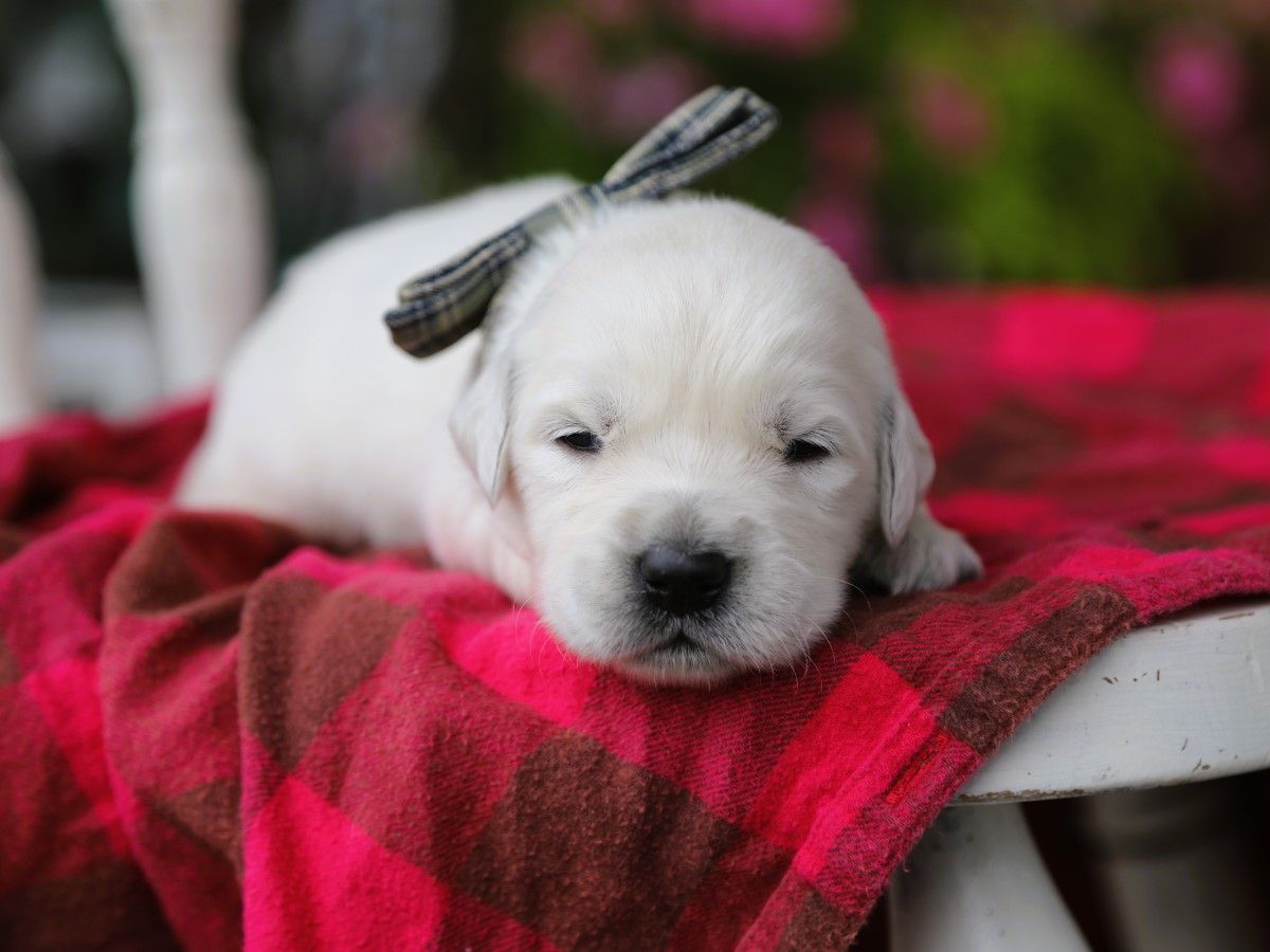 Albert • Click to meet