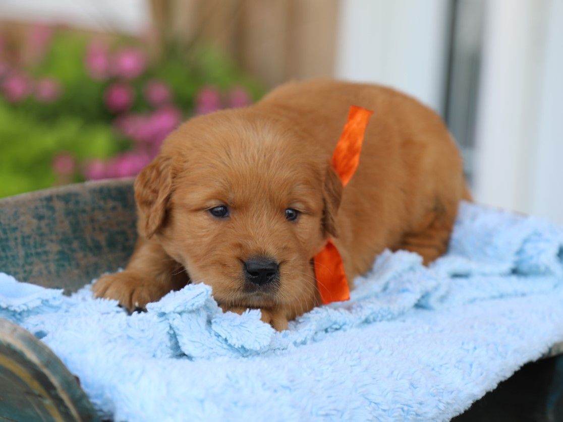 milo (3).JPG
