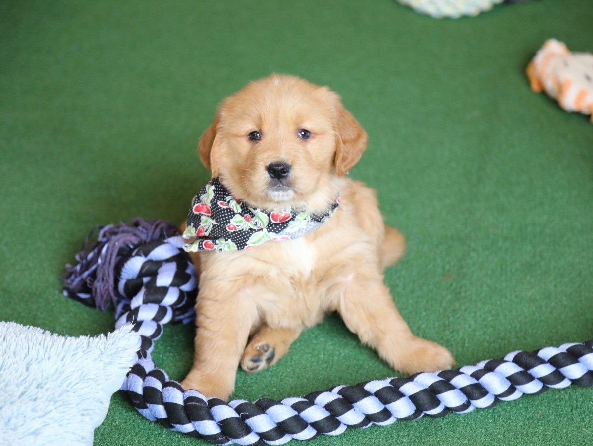  Ruby • Click to meet