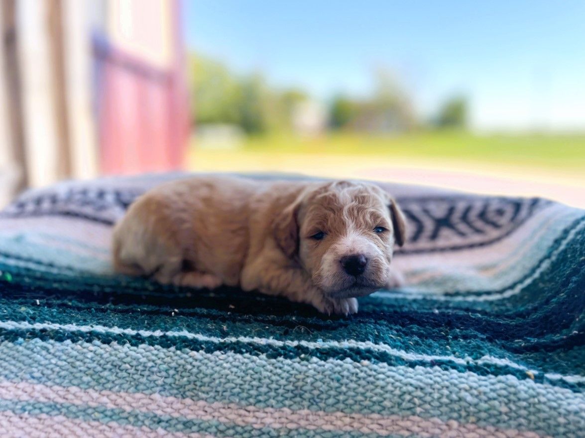 malcom (2).jpg