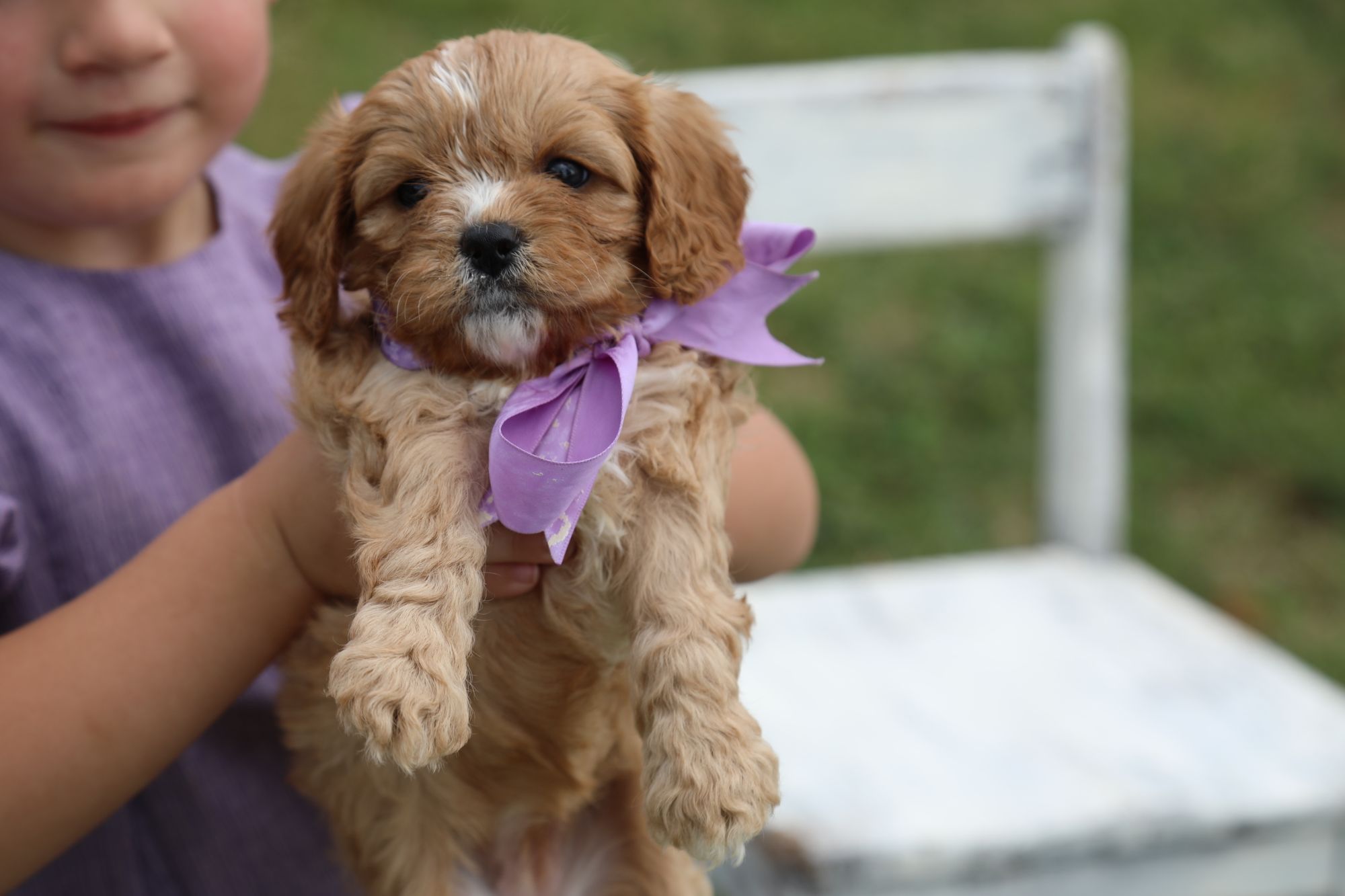  Maple • Click to meet