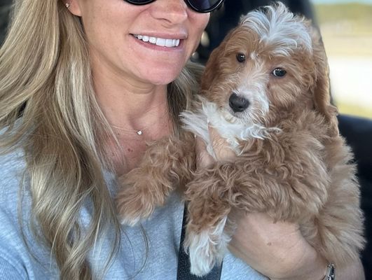 Dallas, TX RYDER • HOMED