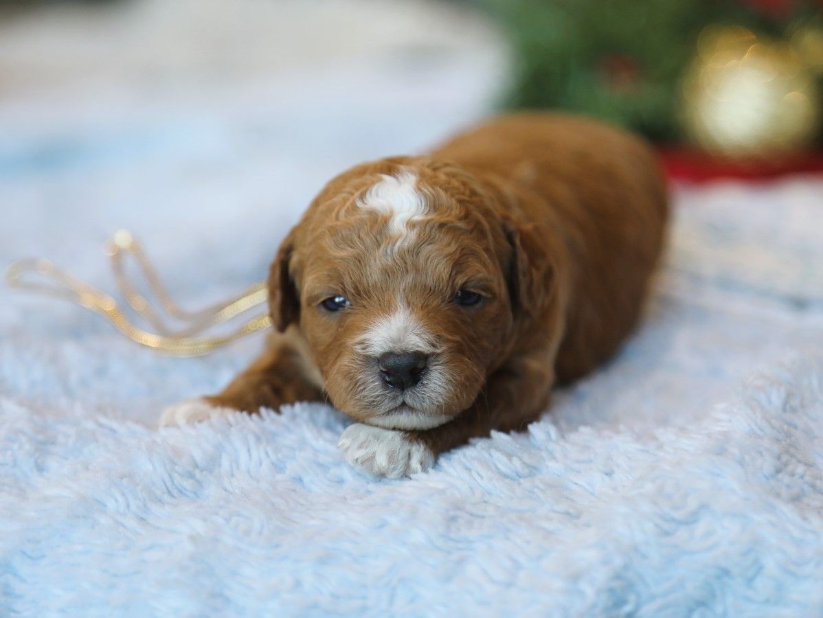 Crosby • click to meet