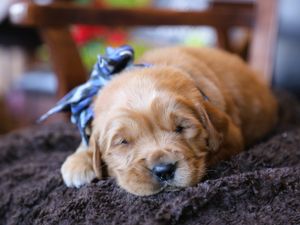 Miller • Click to meet