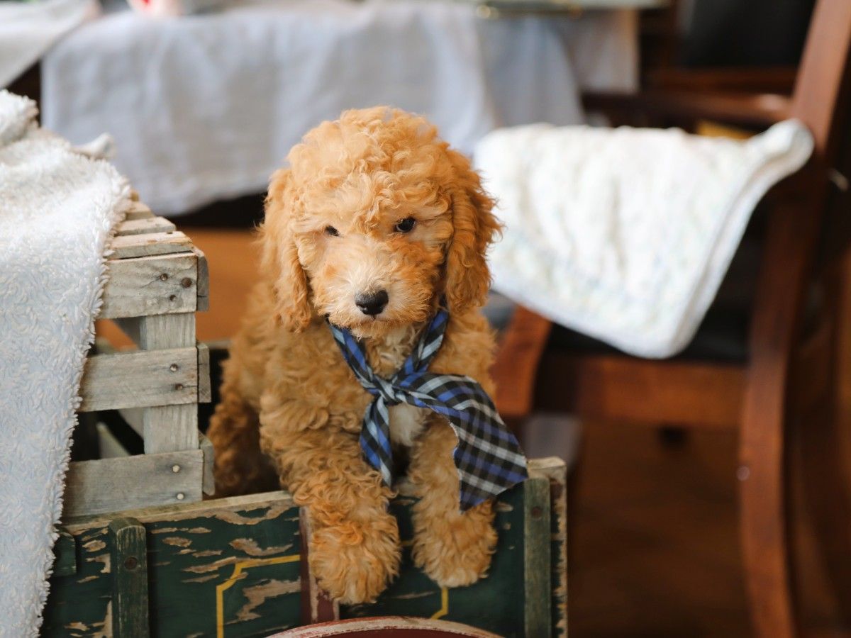 Fisher • click to meet