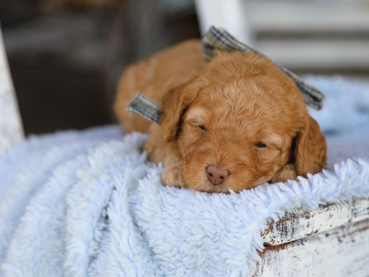 Tucker (2).JPG