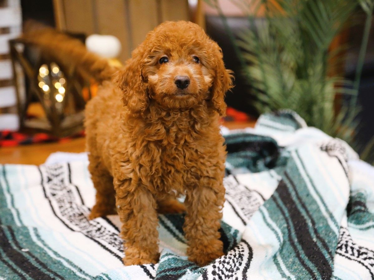  Lenny • click to meet