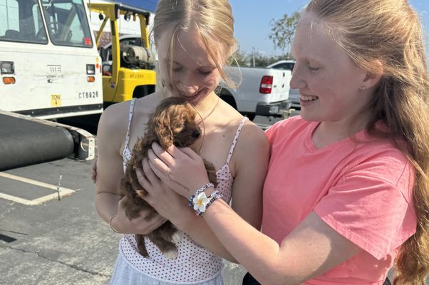 Glendora CA CINNAMON • HOMED