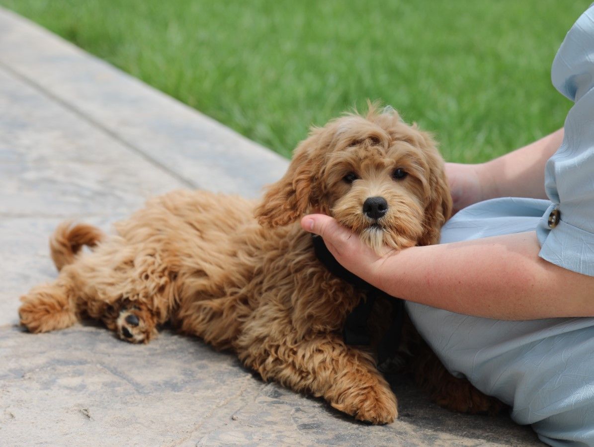 Dudley (1).JPG