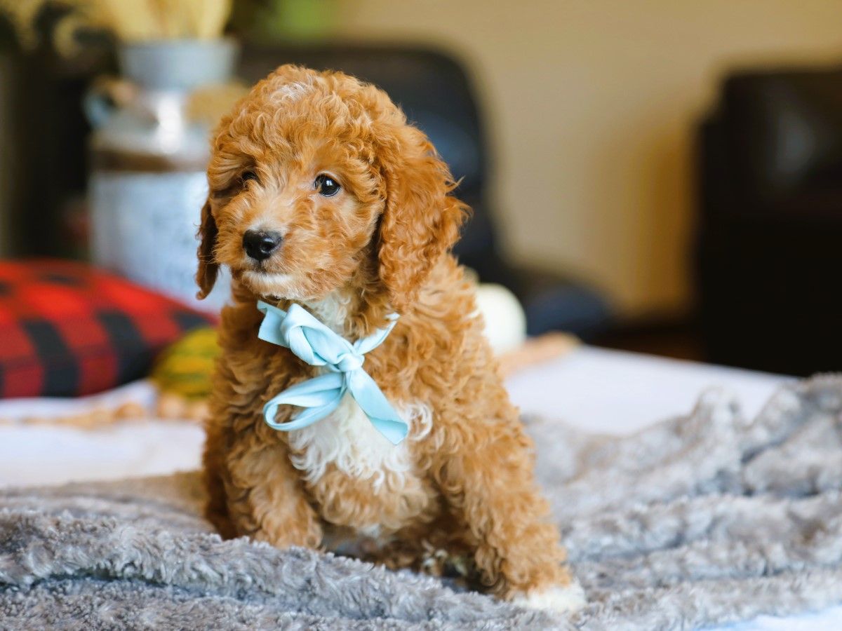 finnegan (2).JPG