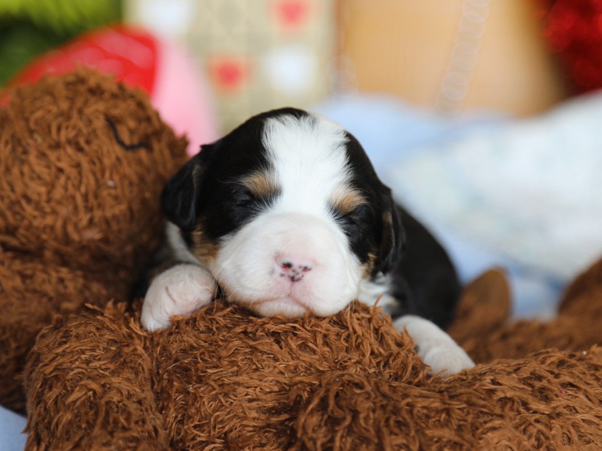 DELILAH • RESERVED