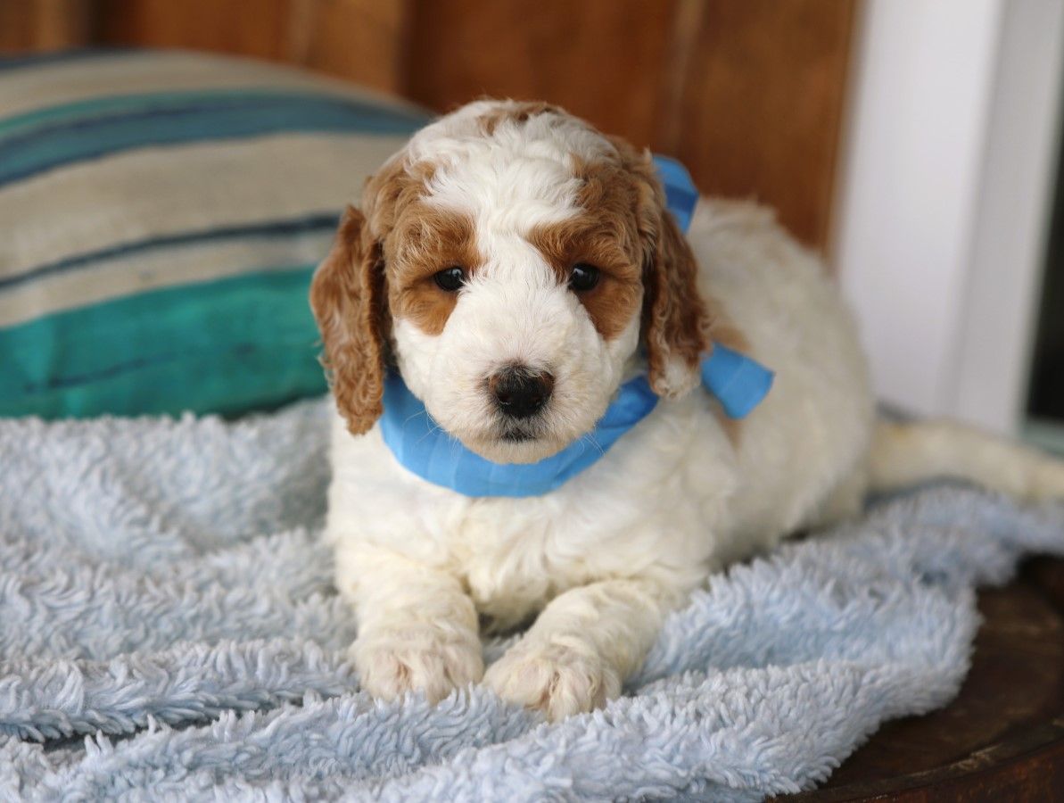  Spencer • click to meet