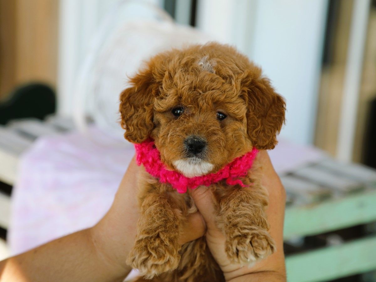 maggy (4).JPG