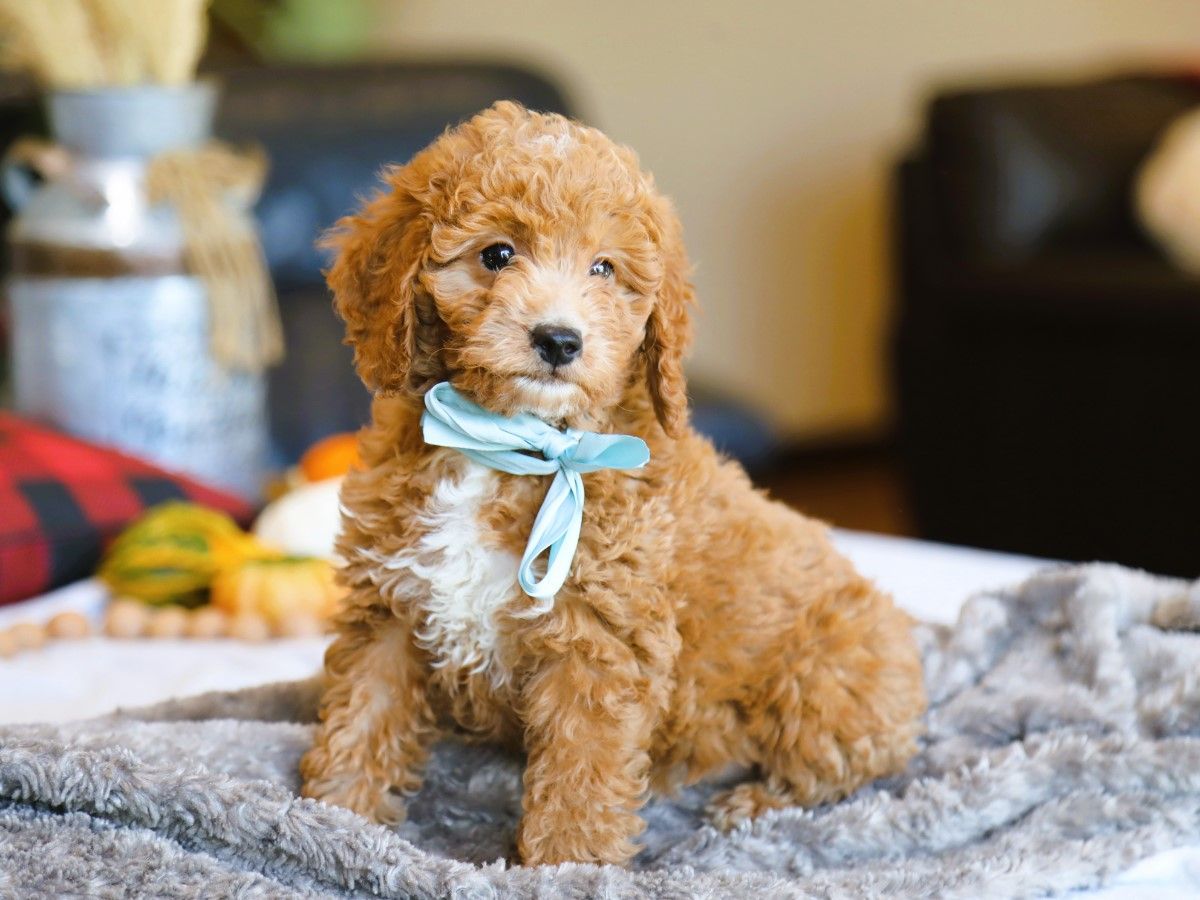   Finnegan • click to meet