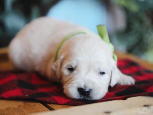 Houston • Click to meet