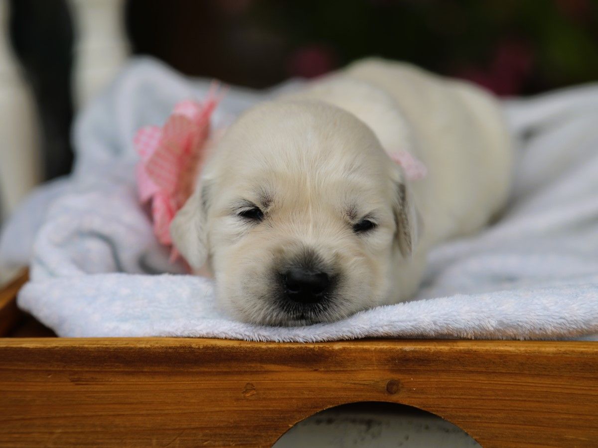 Maggie (4).JPG