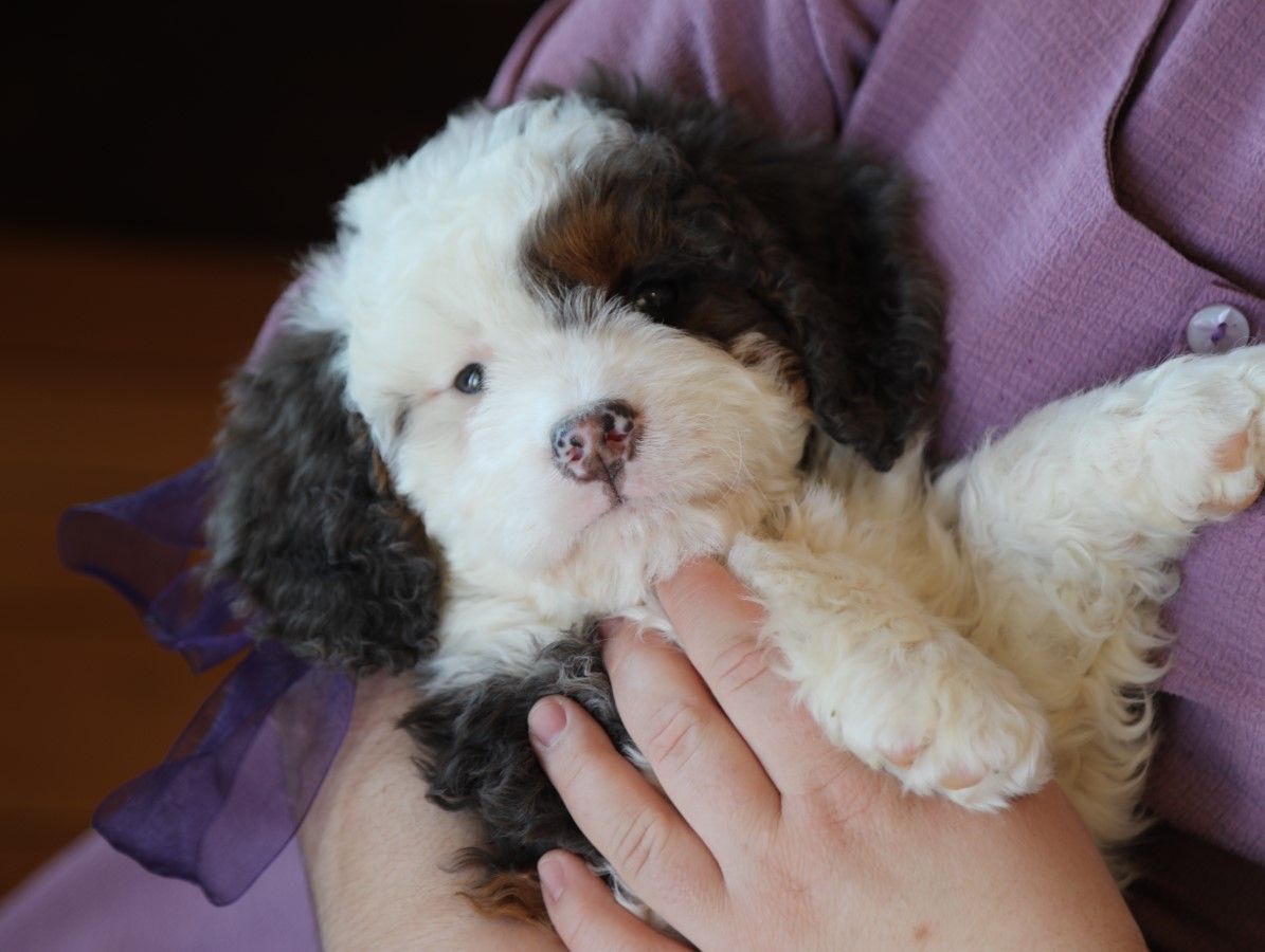  Kyra - Click to meet