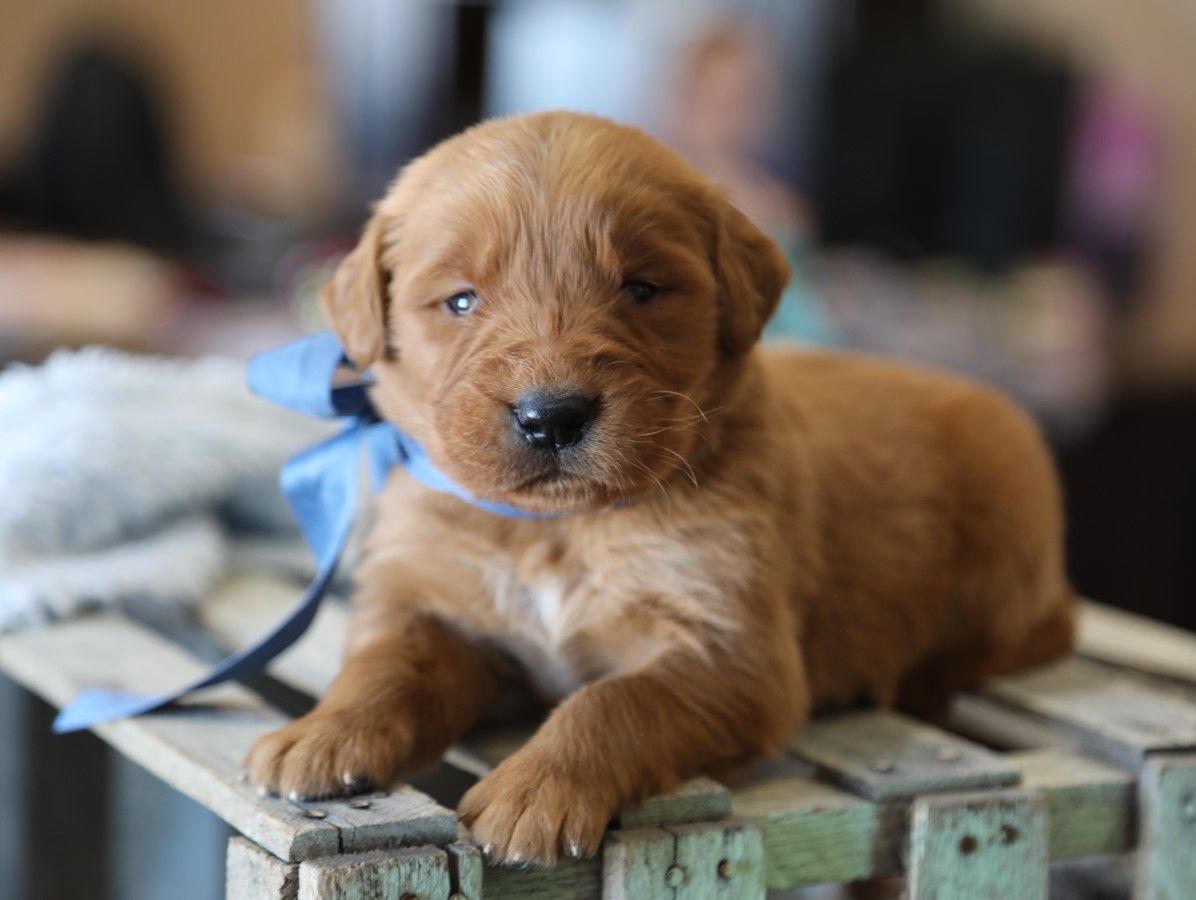 Dallas - Click to meet