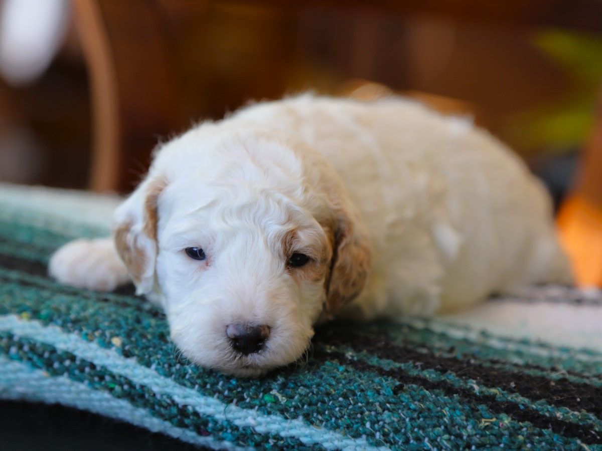 easton (3).JPG