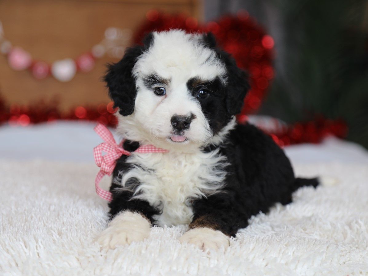  Helen - click to meet